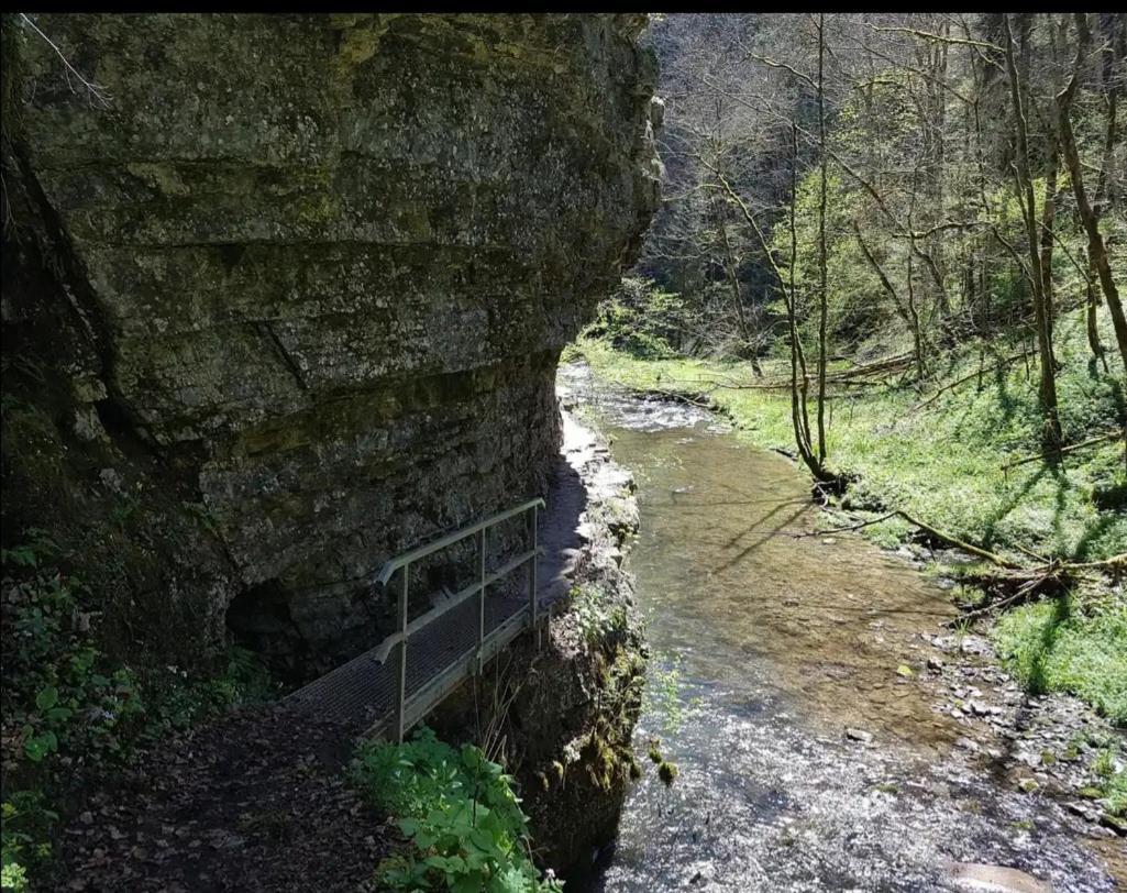 Schwarzwaldglueck * Loeffingen