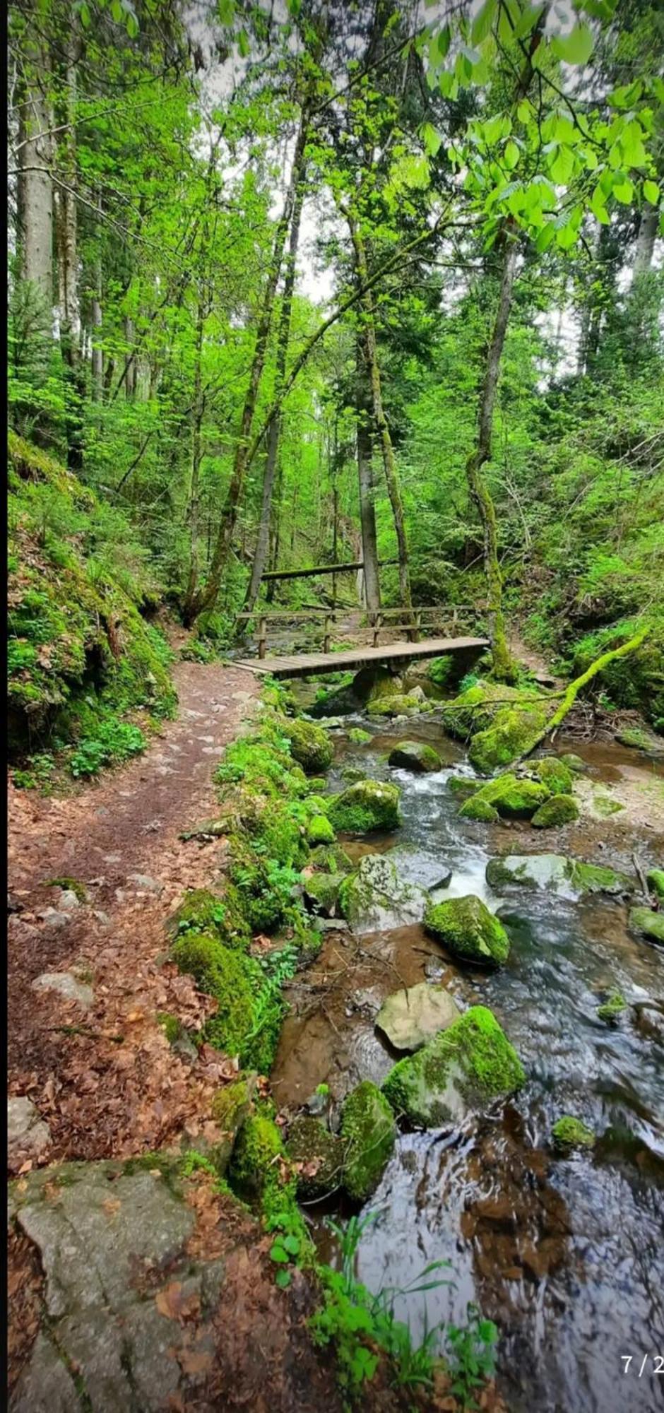 Schwarzwaldglueck