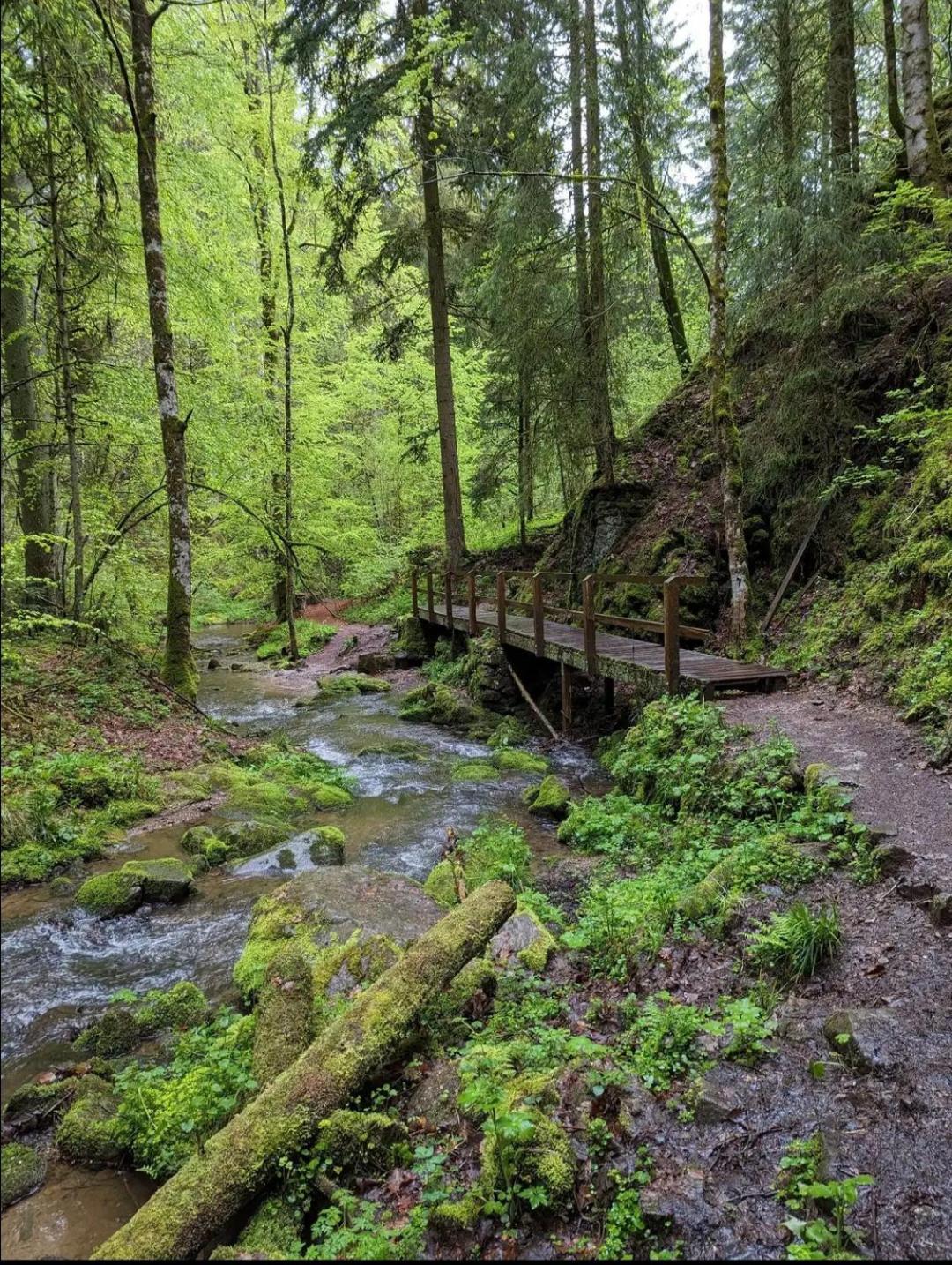 Schwarzwaldglueck Loeffingen
