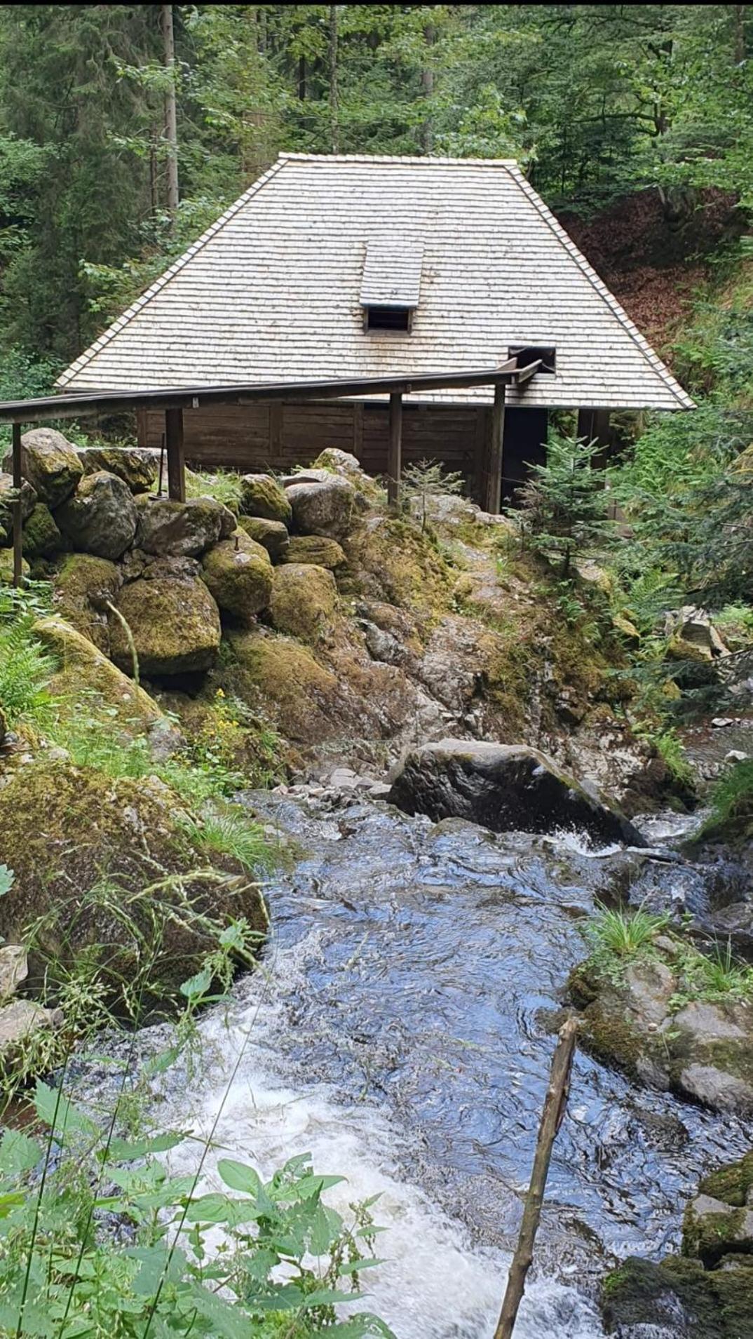 Schwarzwaldglueck Apartment
